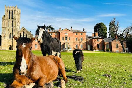 Best for Solo Traveler: The Animal Hostel, Nottingham