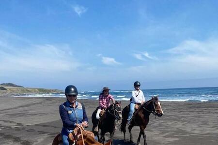 Del Pangal Canto- Acceso Directo A La Playa Y Cabalgatas, Cáhuil
