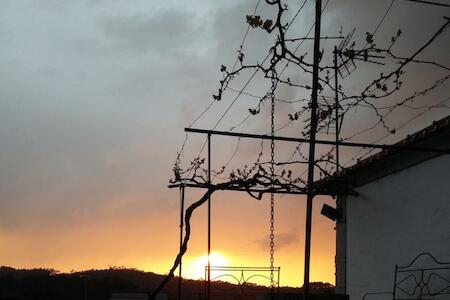 Albergue Casa do Sardão, Carreço