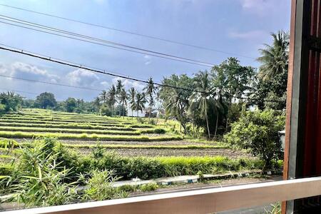 Meilleure pour Voyageur Solo: Paddy View Hostel, Giri Meilleure pour Voyageur Solo: Paddy View Hostel, Giri