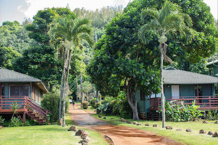 Backpackers Vacation Inn - Plantation Village