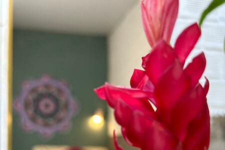 casa84, Barra de São Miguel casa84, Barra de São Miguel