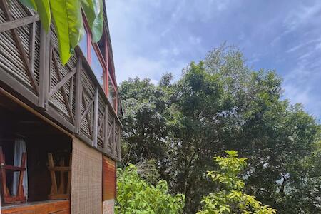 Hostal Colibri, Minca