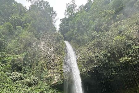 Viajero La Fortuna Hostel, La Fortuna