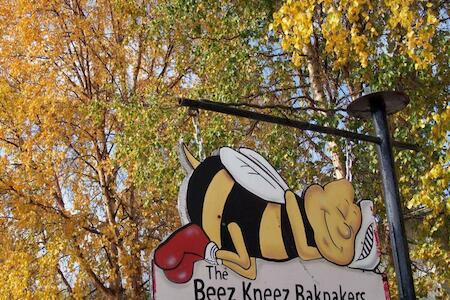 Beez Kneez Bakpakers Hostel, Whitehorse