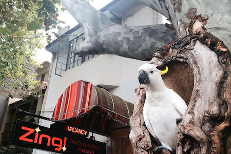 Zing Backpackers Hostel, Sydney