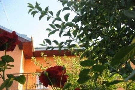 Best for Solo Traveler: Lary Hostel, Suceava Best for Solo Traveler: Lary Hostel, Suceava