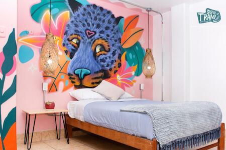 Mejor Hostal de Fiesta: Supertramp Hostel, Machu Picchu