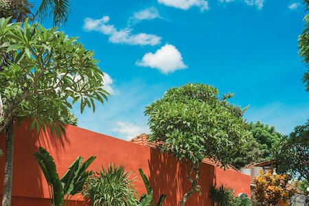 Best Party Hostel: Savanna Ubud, Ubud