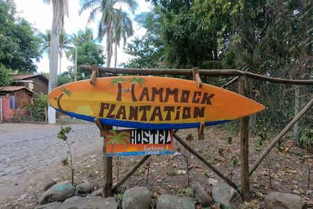 Hammock Plantation