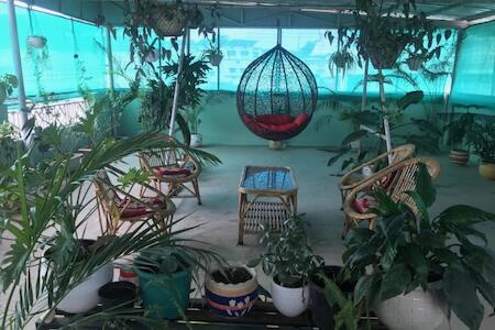 Best for Solo Traveler: 9Backpackers, Dehradun