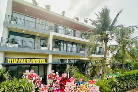 Ninh Binh Buffalo Hostel, Ninh Binh