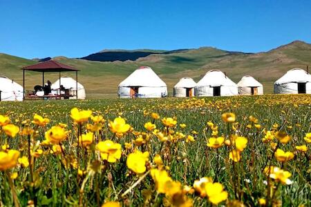 Best for Solo Traveler: Yurtcamp Rahat, Kyzylemgek Best for Solo Traveler: Yurtcamp Rahat, Kyzylemgek