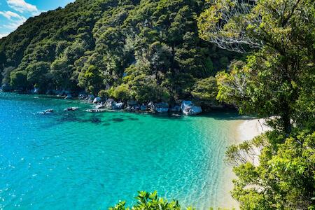 Best for Solo Traveler: The Barn Backpackers, Marahau