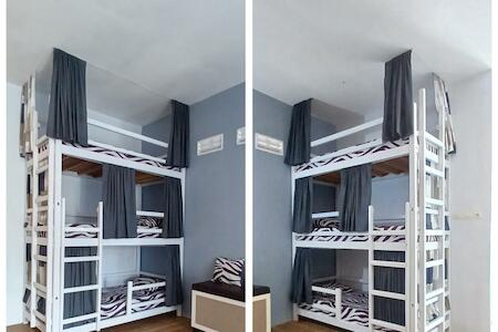 Best Party Hostel: Eltari Pine House, Malang
