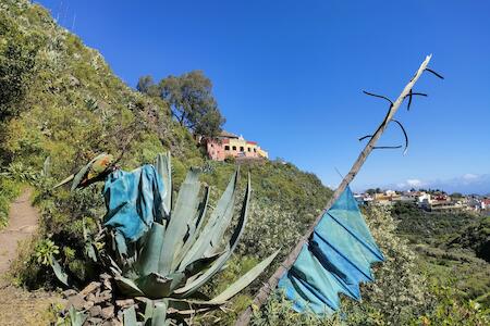 Best for Solo Traveler: Camino Art Hostel, Gran Canaria