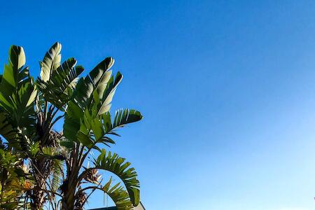 Valley View Backpackers, Graskop