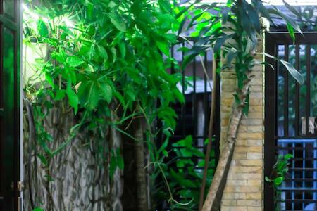 Best for Solo Traveler: Hana Homestay Danang, Da Nang