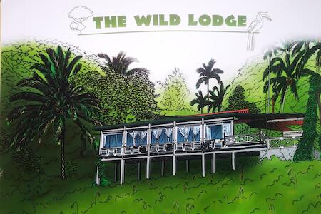 Best for Solo Traveler: Wild Lodge Taman Negara, Jerantut Best for Solo Traveler: Wild Lodge Taman Negara, Jerantut