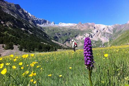 Albergue Monte Perdido, Torla Albergue Monte Perdido, Torla
