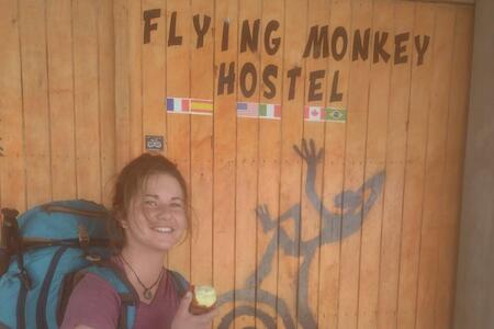 Flying Monkey Hostel