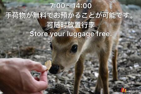 Nara Deer Hostel