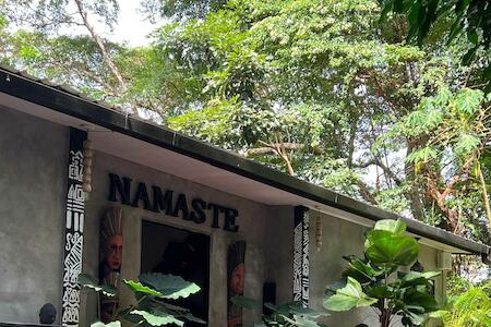 Tree Nest Saboga Island, Isla Contadora