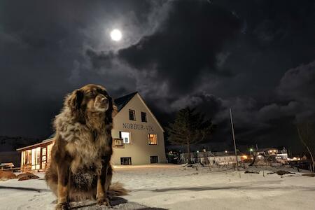 Best Party Hostel: HI - Vík Hostel, Vík