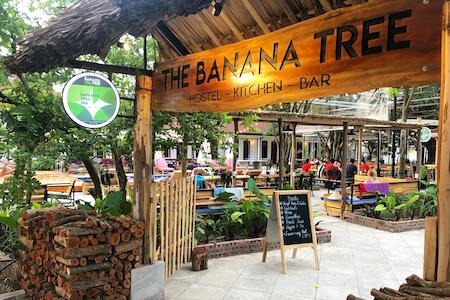 The Banana Tree Hostel