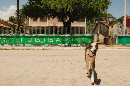 Tubiba Hostel