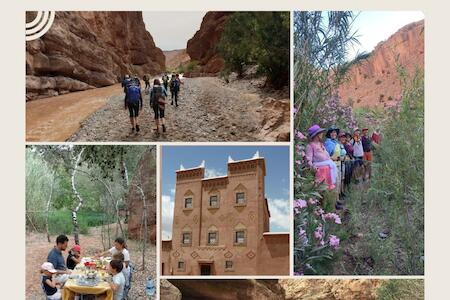 Best for Solo Traveler: Gîte Assafar, Kalaat MGouna