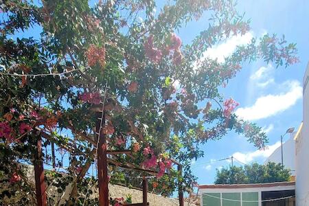 Eden House Hostal, Santa Lucia de Tirajana Eden House Hostal, Santa Lucia de Tirajana