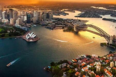 Bluetongue Hideout, Ashcroft Bluetongue Hideout, Ashcroft