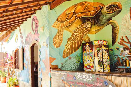 Best for Solo Traveler: Beach Hostel & Suites Los Pibes de Flores, Cabo Frio Best for Solo Traveler: Beach Hostel & Suites Los Pibes de Flores, Cabo Frio