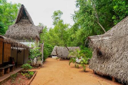 Nebula Nest Cafe & Hostel, Auroville