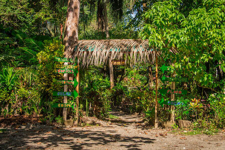La Palapa Hut Nature Hostel