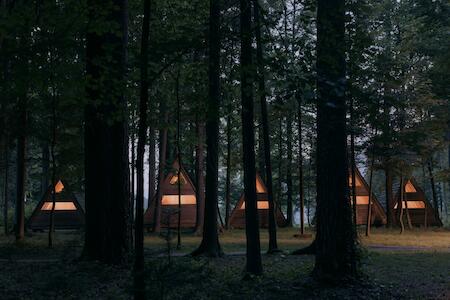 Naturavantura - Forest Camping