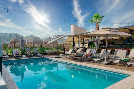 Best for Solo Traveler: Mayan Monkey Los Cabos, Cabo San Lucas