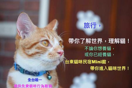 貓咪民宿Mini館-中午即可入房, Taitung City