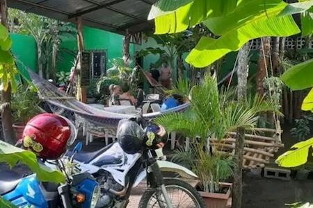 Hostel Coco's, Ometepe