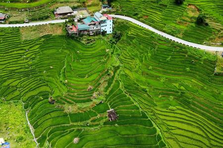 Best Party Hostel: Hoa's Homestay, Sapa