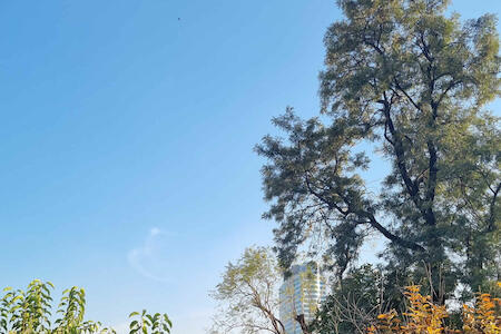 The Nomad's Hostel –, Islamabad The Nomad's Hostel –, Islamabad