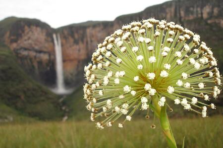 Tabuleiro Eco Hostel, Conceição do Mato Dentro