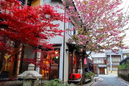Best for Solo Traveler: Guesthouse Soi, Kyoto