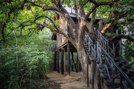 Tree House Hideaway