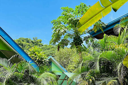 Surf Paradise, Santa Teresa Surf Paradise, Santa Teresa