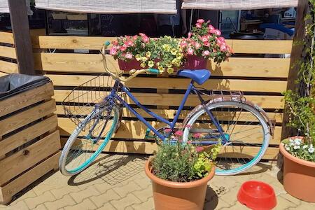 Pláž Výtoň, Přední Výtoň Pláž Výtoň, Přední Výtoň