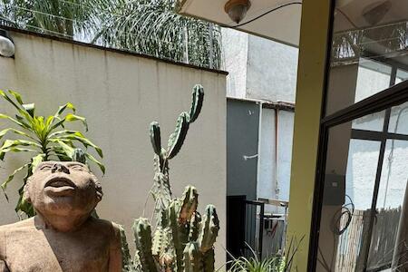 Leveli Coliving & Hostel, Oaxaca Leveli Coliving & Hostel, Oaxaca