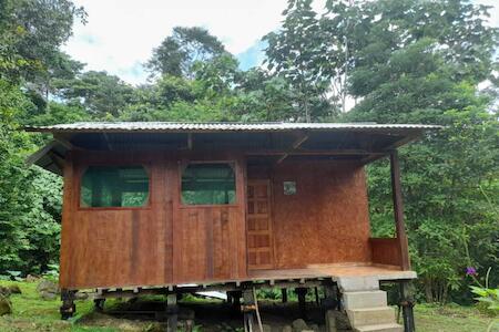 Manu Amazon Lodge