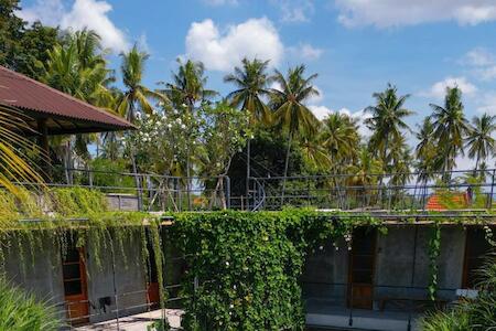 Mangroove Bay Hostel